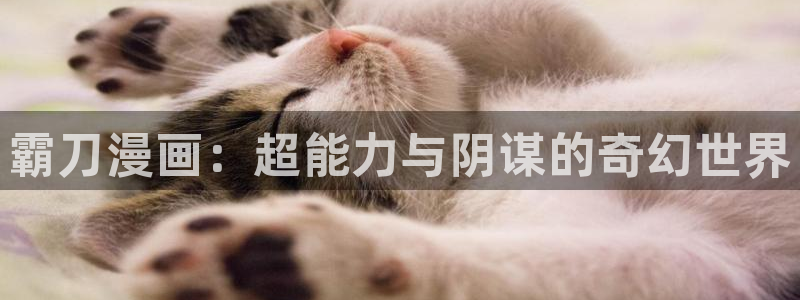 歪歪漫画平台下拉式